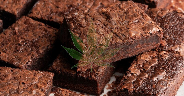 Stop the Ban of Cannabis Edibles in South Africa! Image